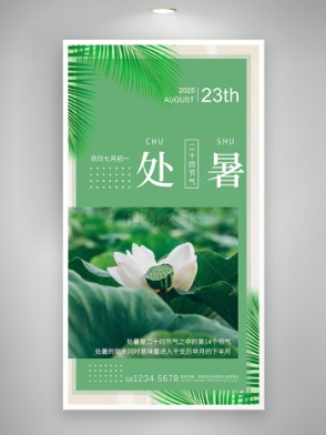 清新簡約白色荷花蓮蓬處暑節(jié)氣海報